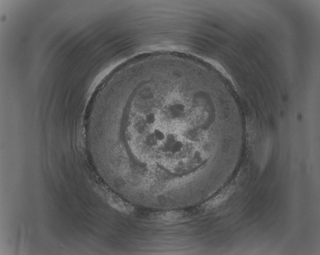 X0000078850879200611131135