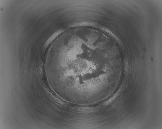 X0000078850921200611131134