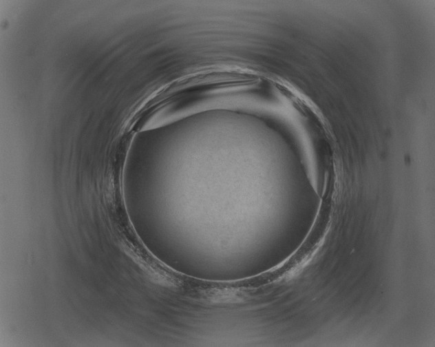 X0000078850969200611131134