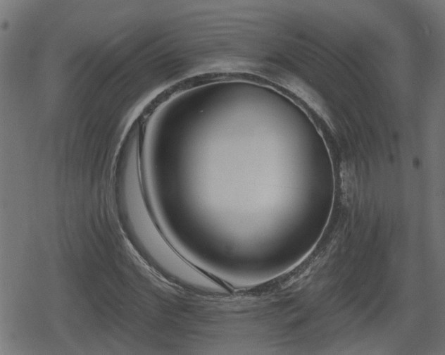 X0000078850972200611131134