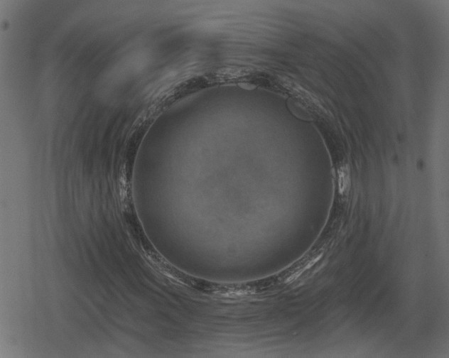 X0000078851011200611131132