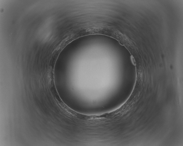 X0000078851012200611131132