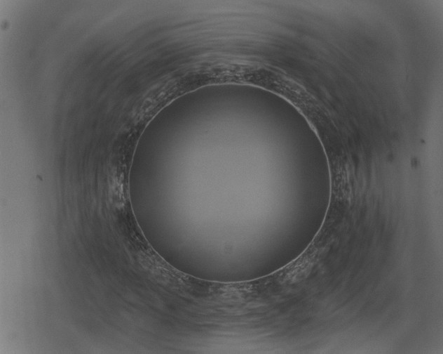 X0000078851013200611131132