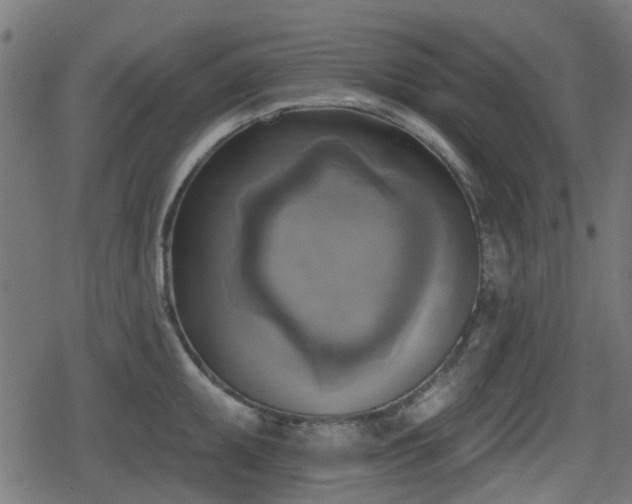 X0000078851095200611131132