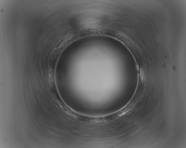 X0000078851107200611131131