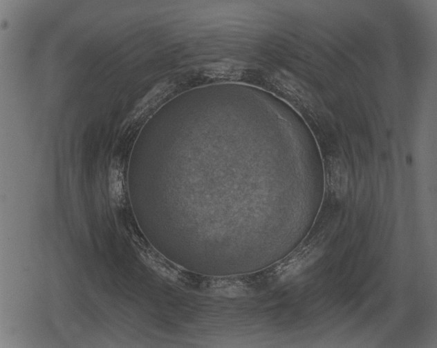 X0000078851154200611131131