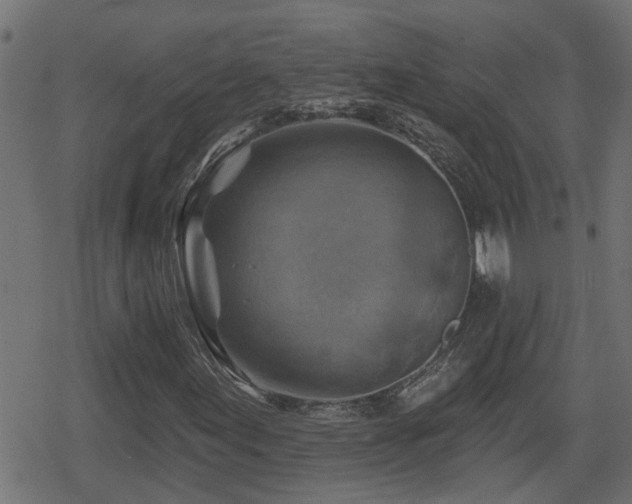 X0000078851155200611131131