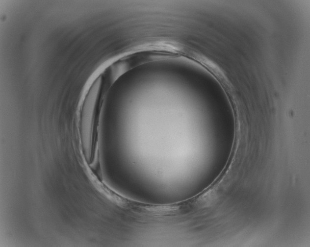 X0000078851200200611131130