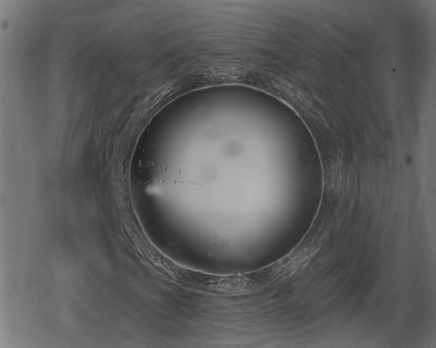 X0000078851201200611131129