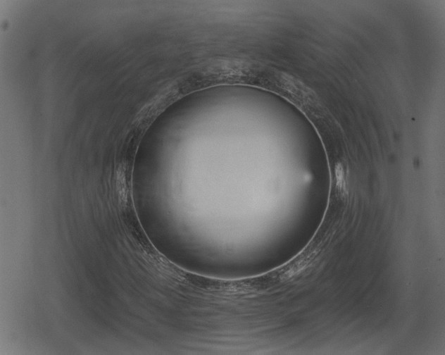 X0000078851203200611131129