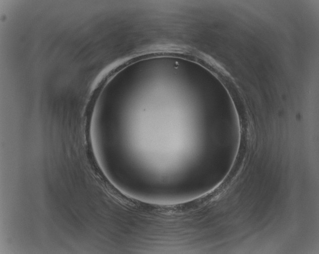 X0000078851222200611131129
