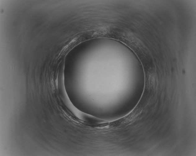 X0000078851250200611131129