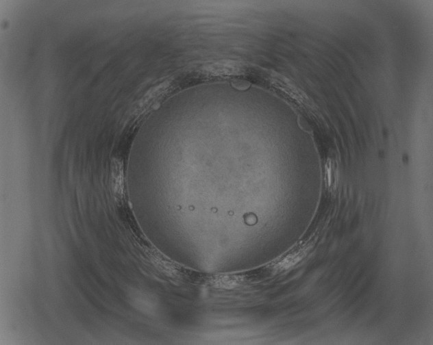 X0000078851251200611131129