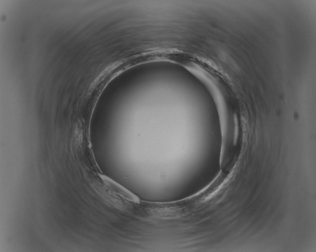 X0000078851257200611131129