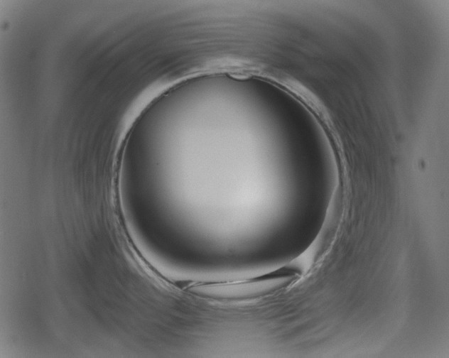 X0000078851296200611131128