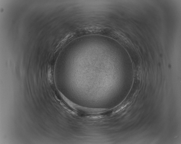 X0000078851298200611131128
