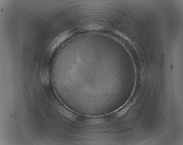 X0000078851306200611131128