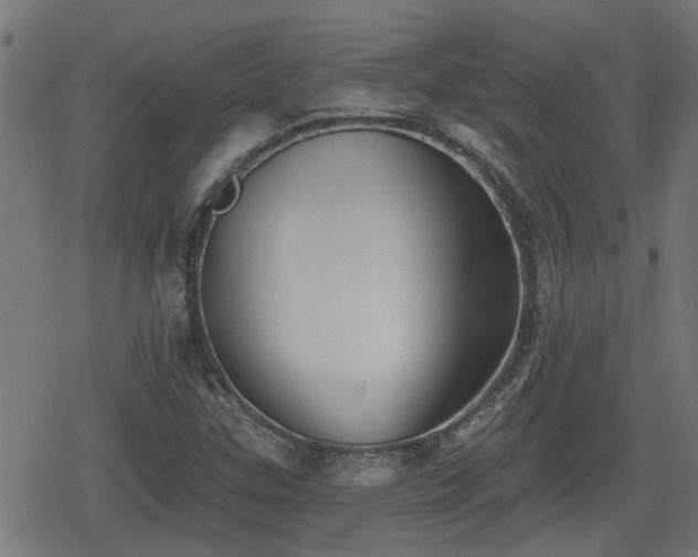 X0000078851307200611131128