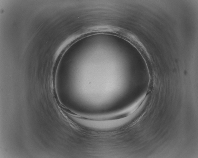 X0000078851328200611131128