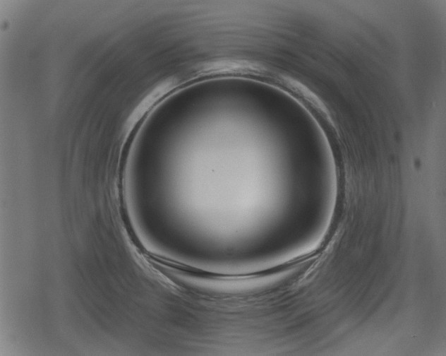 X0000078851330200611131128