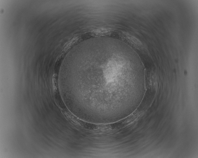 X0000078851346200611131127