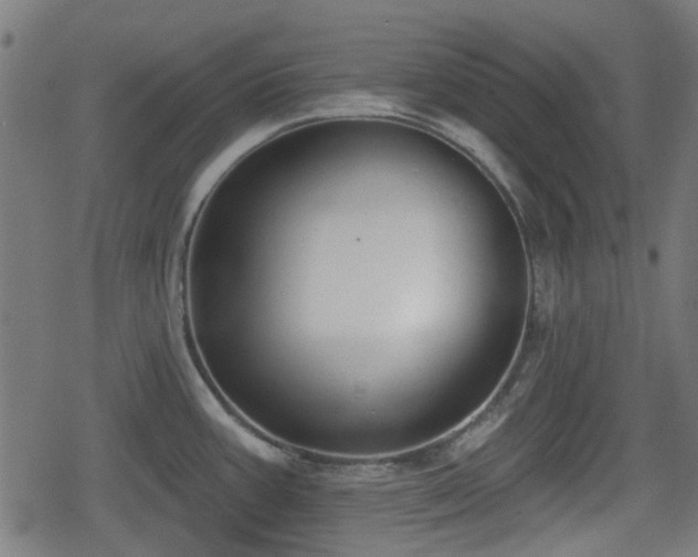 X0000078851387200611131127