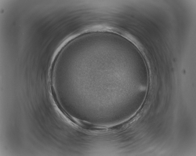 X0000078851392200611131127