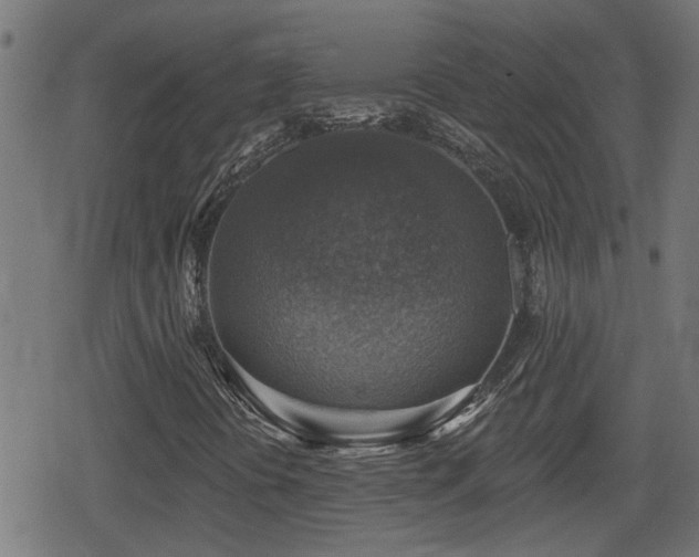 X0000078851394200611131126