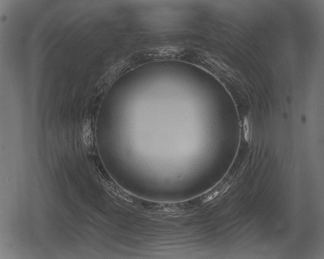 X0000078851395200611131126