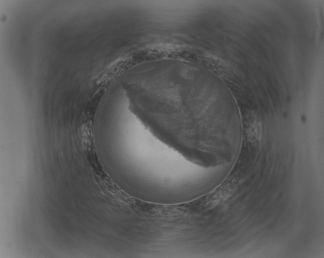 X0000078851397200611131126