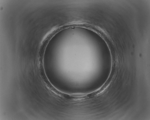 X0000078851406200611131126