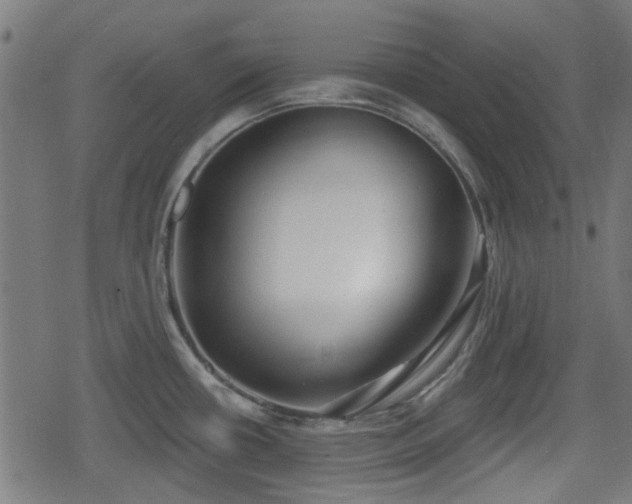 X0000078851434200611131127