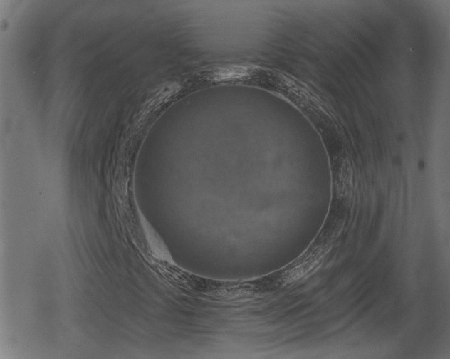 X0000078851441200611131126