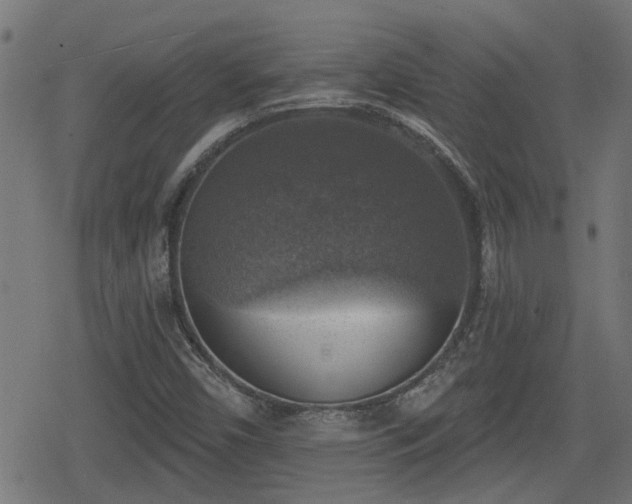 X0000078851450200611131126