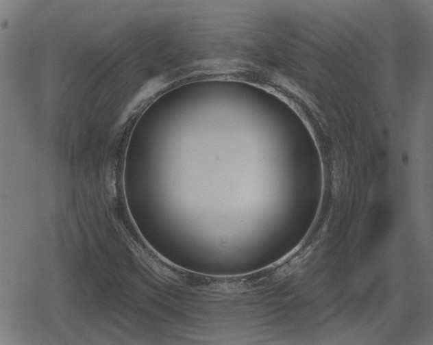 X0000078851451200611131126