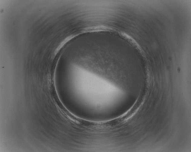 X0000078851457200611131126
