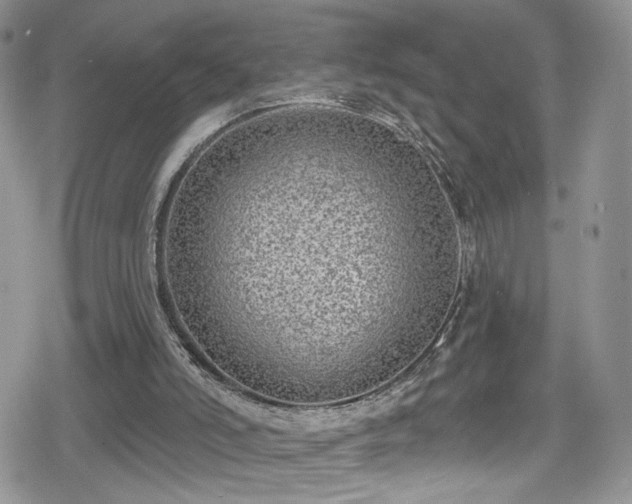 X0000078850006200611201350