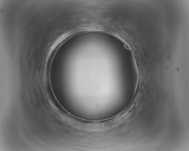 X0000078850008200611201350