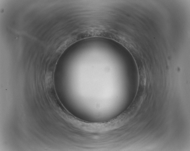 X0000078850034200611201350