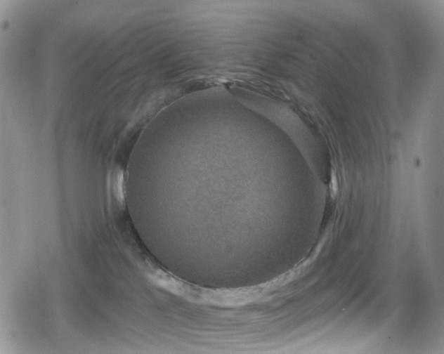 X0000078850041200611201350