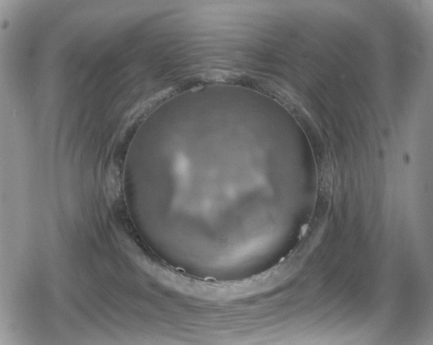 X0000078850043200611201350