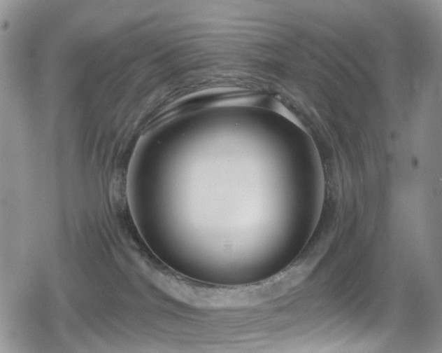X0000078850044200611201350