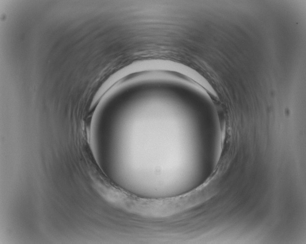 X0000078850045200611201350
