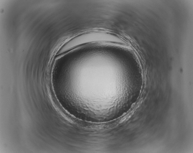 X0000078850049200611201349
