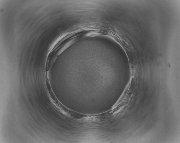X0000078850052200611201349