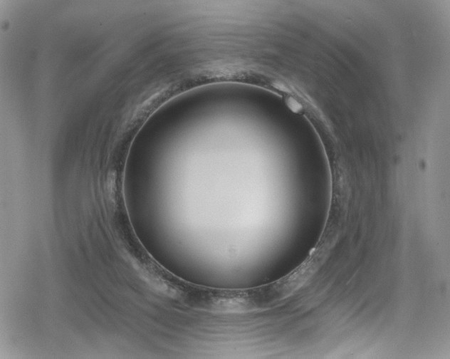 X0000078850066200611201349