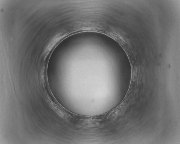 X0000078850098200611201349