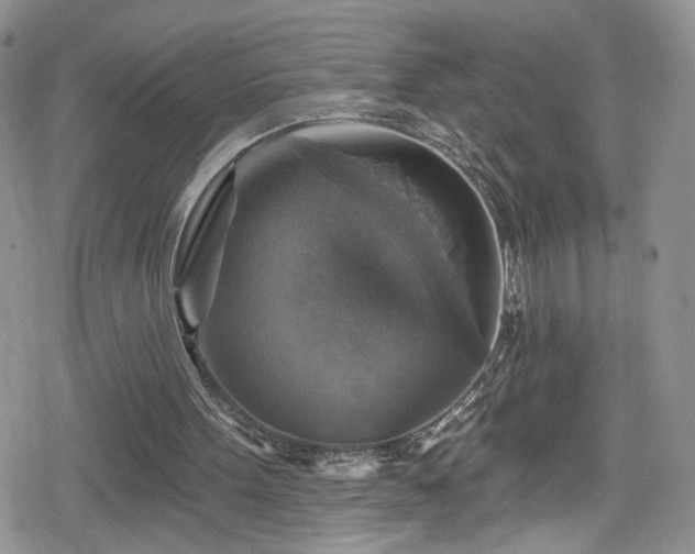 X0000078850099200611201349