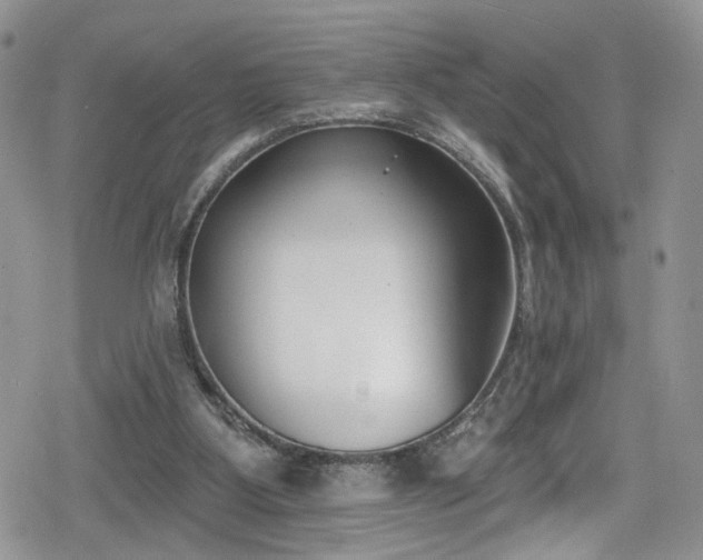 X0000078850107200611201349
