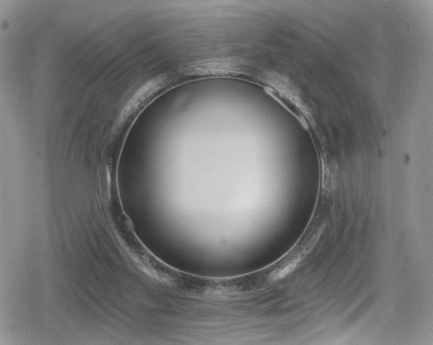 X0000078850109200611201349